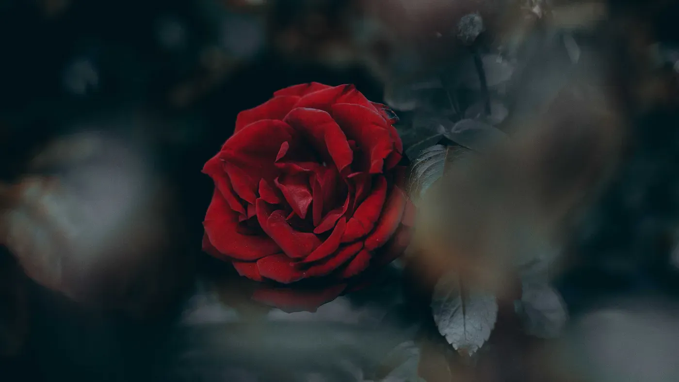 God's Hard Words Are Still Good Words